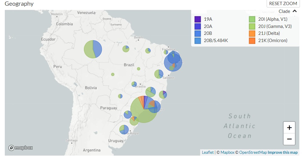 Mapa de variantes identificadas no Brasil gerado pelo site nextstrain.org e atualizado em 5 de dezembro de 2021 (Foto: Reprodução)