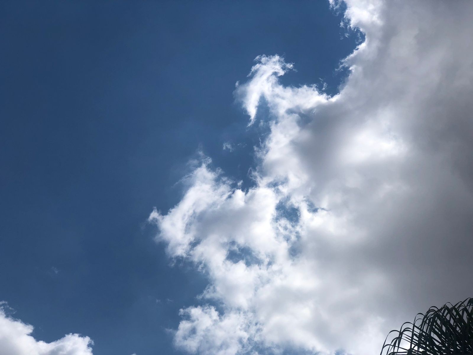 Noites frias com até 13°C e dias quentes marcam 1ª semana de outono do Centro-Oeste de Minas