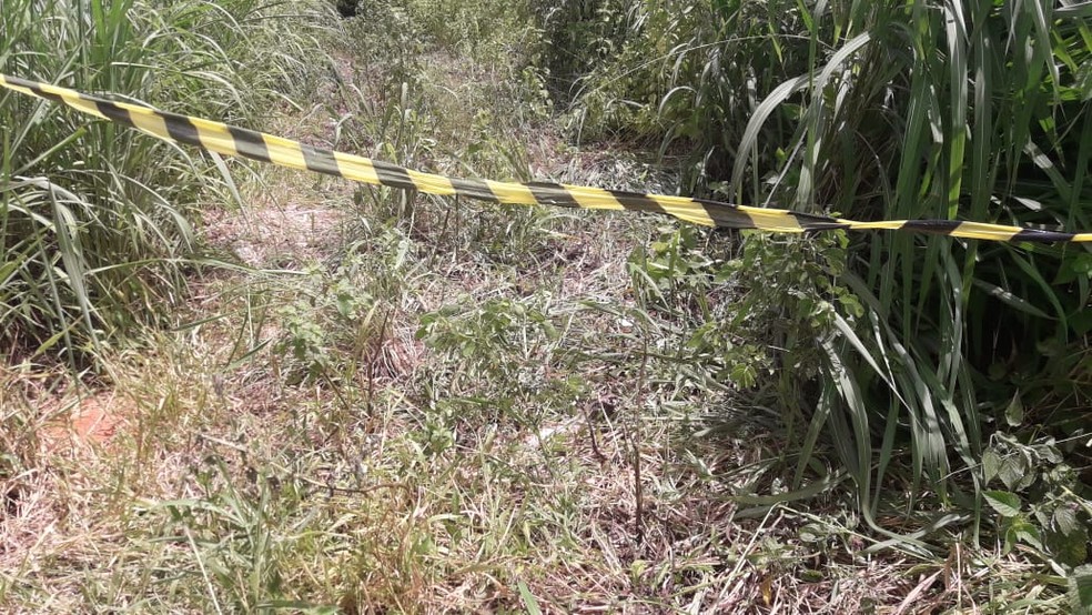 Dois corpos e uma ossada são encontrados em matagal — Foto: Divulgação/PC-PI