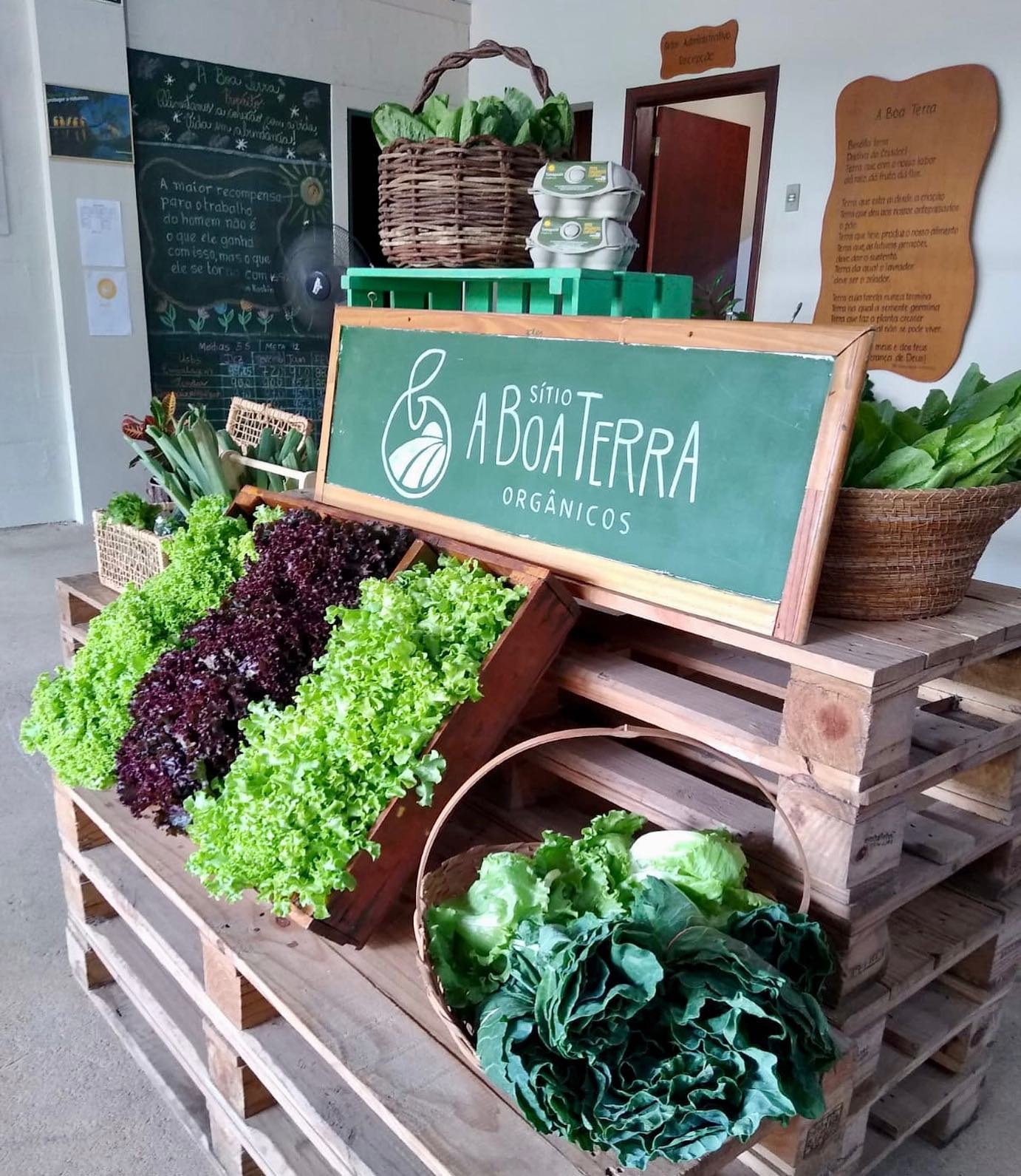 Empresas apostam em delivery de alimentos orgânicos  (Foto: Divulgação/A Boa Terra (Instagram))