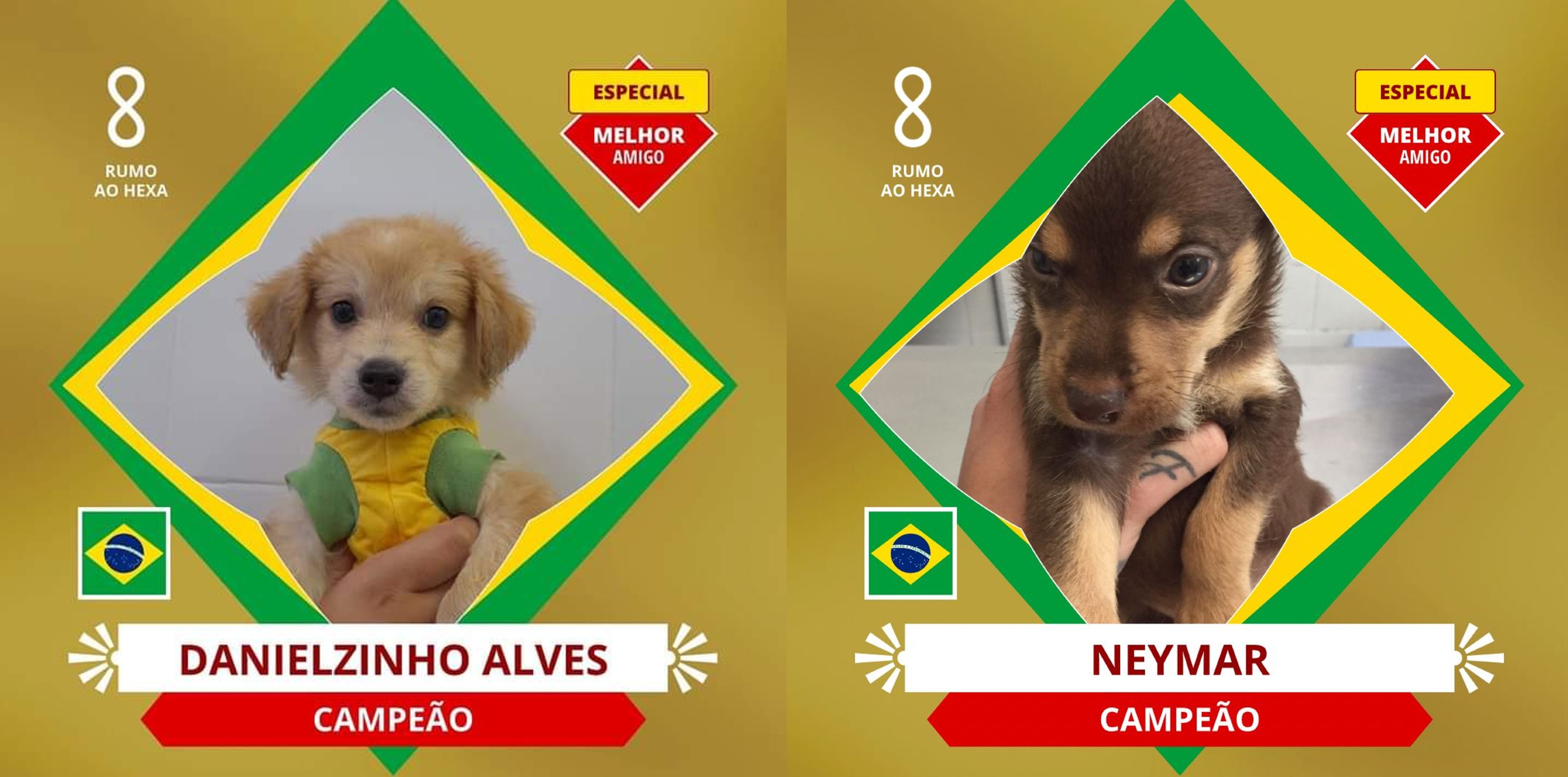 De Danielzinho Alves a Neymar, cães  para adoção viram figurinhas da Copa do Mundo e querem assistir ao hexa em novo lar