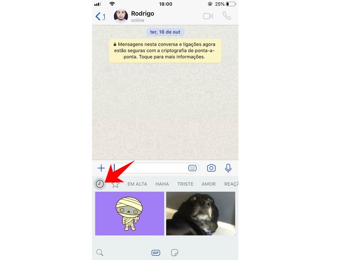 WhatsApp mostra os GIFs utilizados recentemente nas conversas (Foto: Reprodução/Rodrigo Fernandes) WhatsApp mostra os GIFs utilizados recentemente nas conversas (Foto: Reprodução/Rodrigo Fernandes)