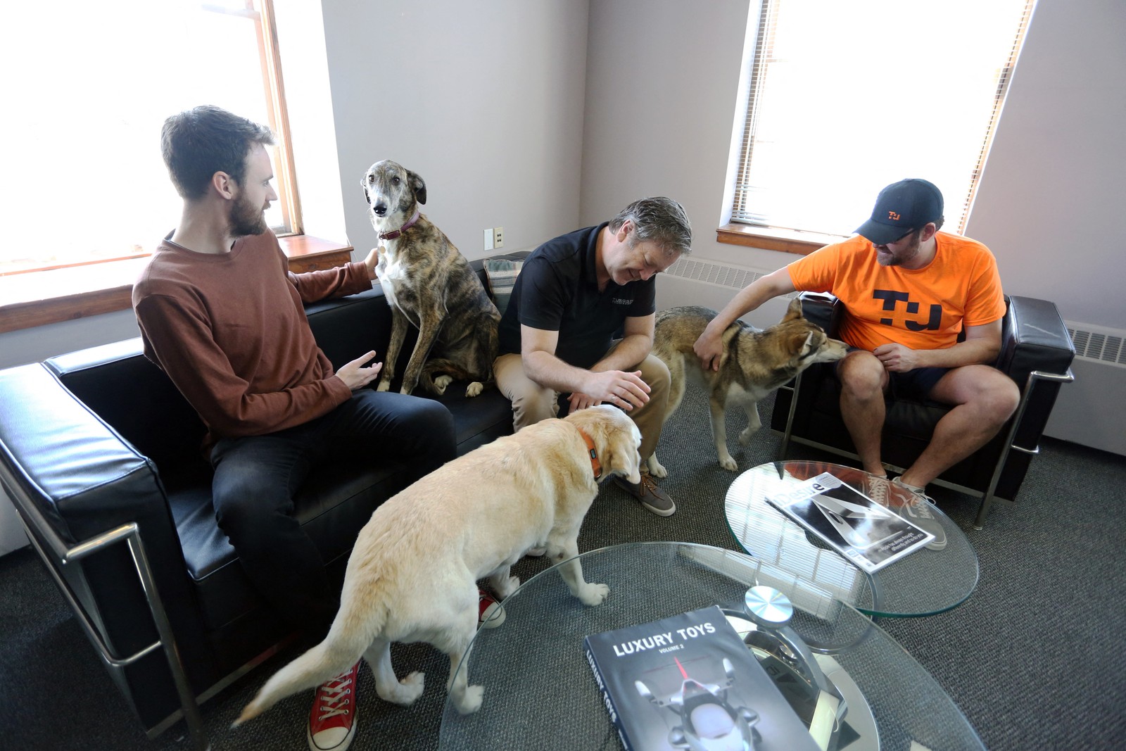 Funcionários da Tungsten Collaborative, em Ottawa, durante reunião. Os pets podem permanecer na empresa durfante horário do trabalho AFP