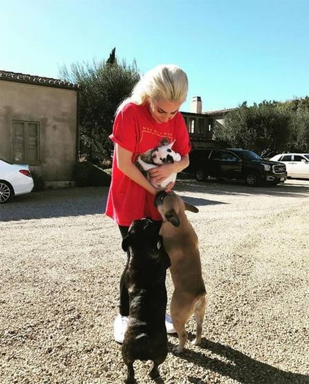 Lady Gaga com seus cãezinhos — Foto: Reprodução redes sociais