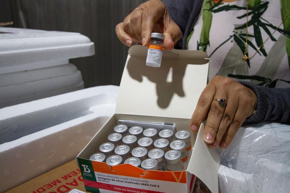 Pernambuco recebeu 65 mil novas doses de CoronaVac nesta sexta-feira (18) — — Foto: Miva Filho/Governo de Pernambuco