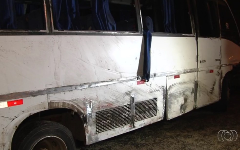 Danos na lataria do micro-ônibus que tombou na GO-070, entre Itauçu e Itaberaí (Foto: TV Anhanguera/Reprodução)