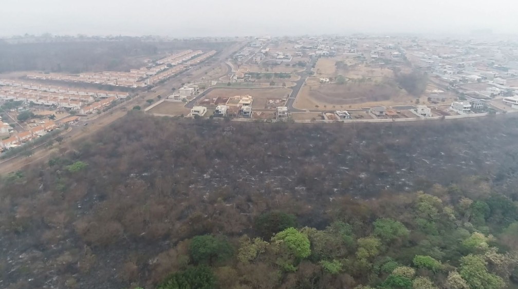 Fogo devasta vegetação ao lado de condomínios na zona sul de Ribeirão Preto (SP) — Foto: Luciano Tolentino/EPTV
