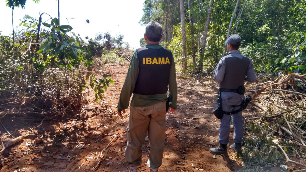 Fiscais também constataram irregularidades 'in loco' (Foto: Ibama/Divulgação)