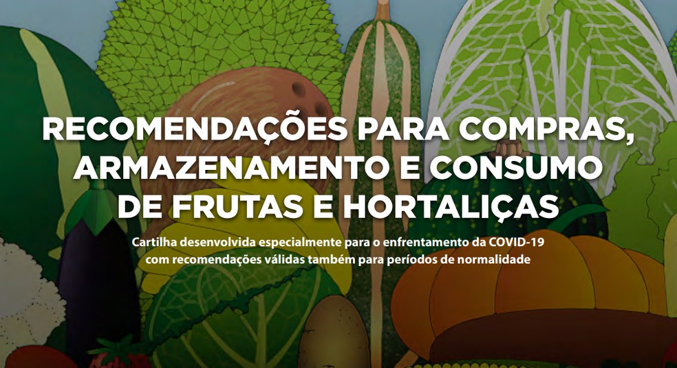 Uma das dicas da cartilha é sobre como preparar uma lista de compras que auxile o consumidor — Foto: Reprodução