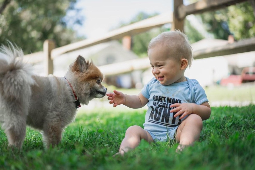 Cães e crianças de uma mesma família constroem uma relação semelhante ao vínculo encontrado entre irmãos — Foto: ( Unsplash/ Zachary Kadolph/ CreativeCommons)
