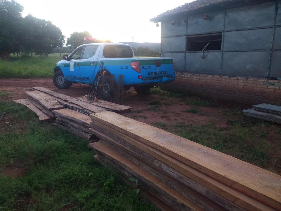 Madeira apreendida na resid&ecirc;ncia do idoso &mdash; Foto: PMA/Divulga&ccedil;&atilde;o