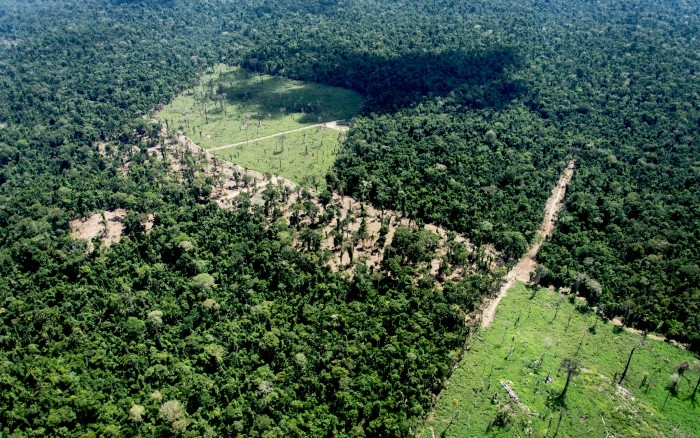 Morada de indígenas isolados, a Terra Indígena (TI) Ituna Itatá registrou 756 hectares desmatados em junho (Foto: Juan Doblas/ISA)