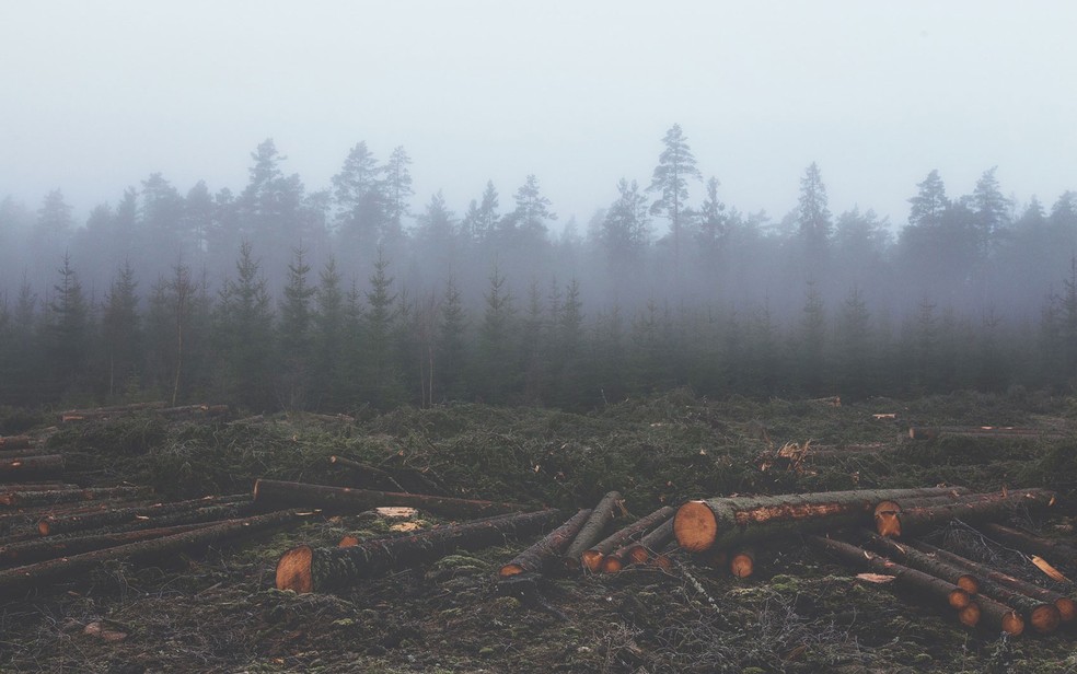 Total dos recursos que o planeta pode renovar em um ano já foi consumido (Foto: Pixabay)