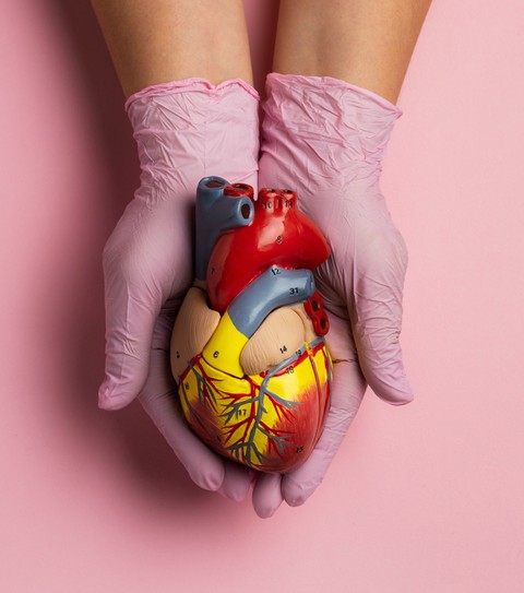 Doenças do coração matam quase um terço dos brasileiros; estilo de vida é um dos fatores de risco