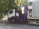 Árvore cai após caminhão colidir enquanto motorista manobrava