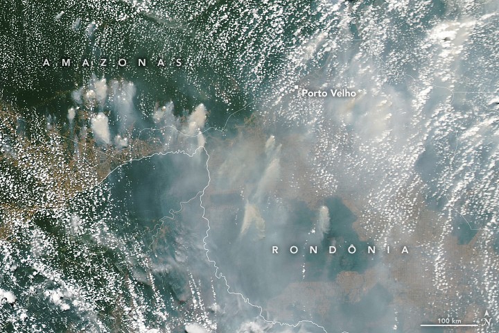 Região entre Amazonas e Rondônia é avistada por satélite na NASA, o qual registra a presença de fumaça sobre o território. A Amazônia teve mais de 26 mil focos de queimadas em agosto, segundo o Inpe  (Foto: Lauren Dauphin/NASA Earth Observatory)