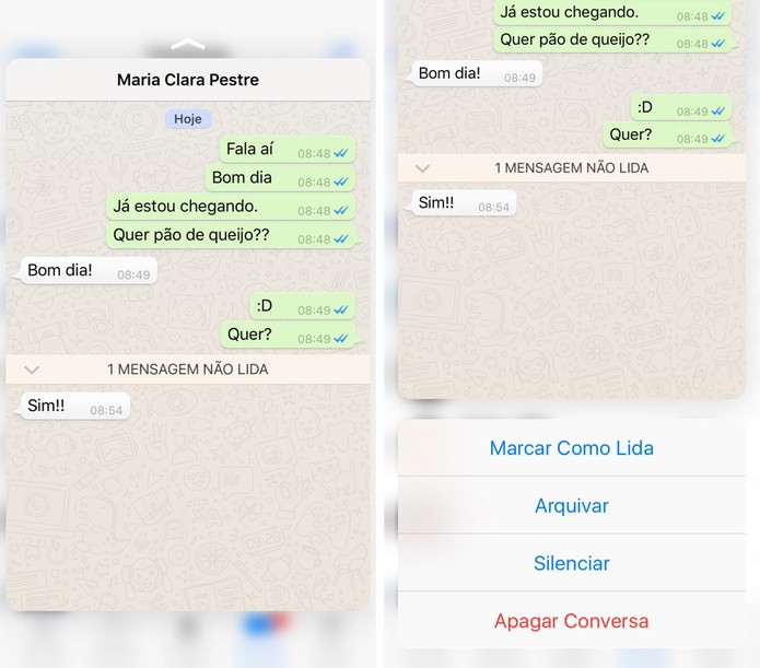 Atualização do WhatsApp permite preview de imagens com o 3D Touch do iPhone (Foto: Reprodução)