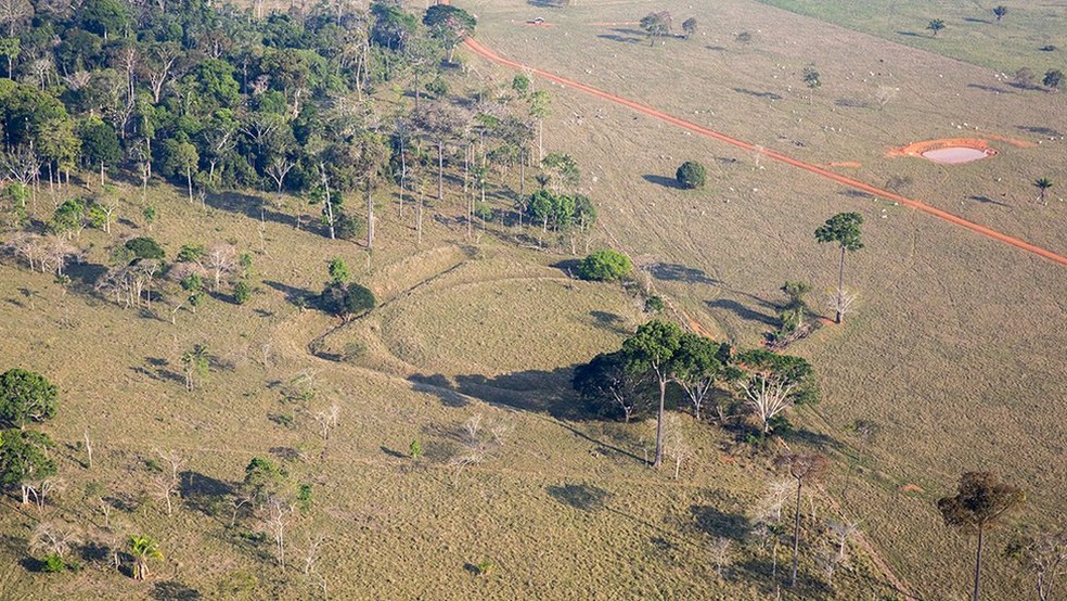 Calcula-se que o Brasil tenha 500 geoglifos - ironicamente, por causa do desmatamento, mais figuras estão sendo descobertas — Foto: Oscar Liberal/ IPHAN/Divulgação
