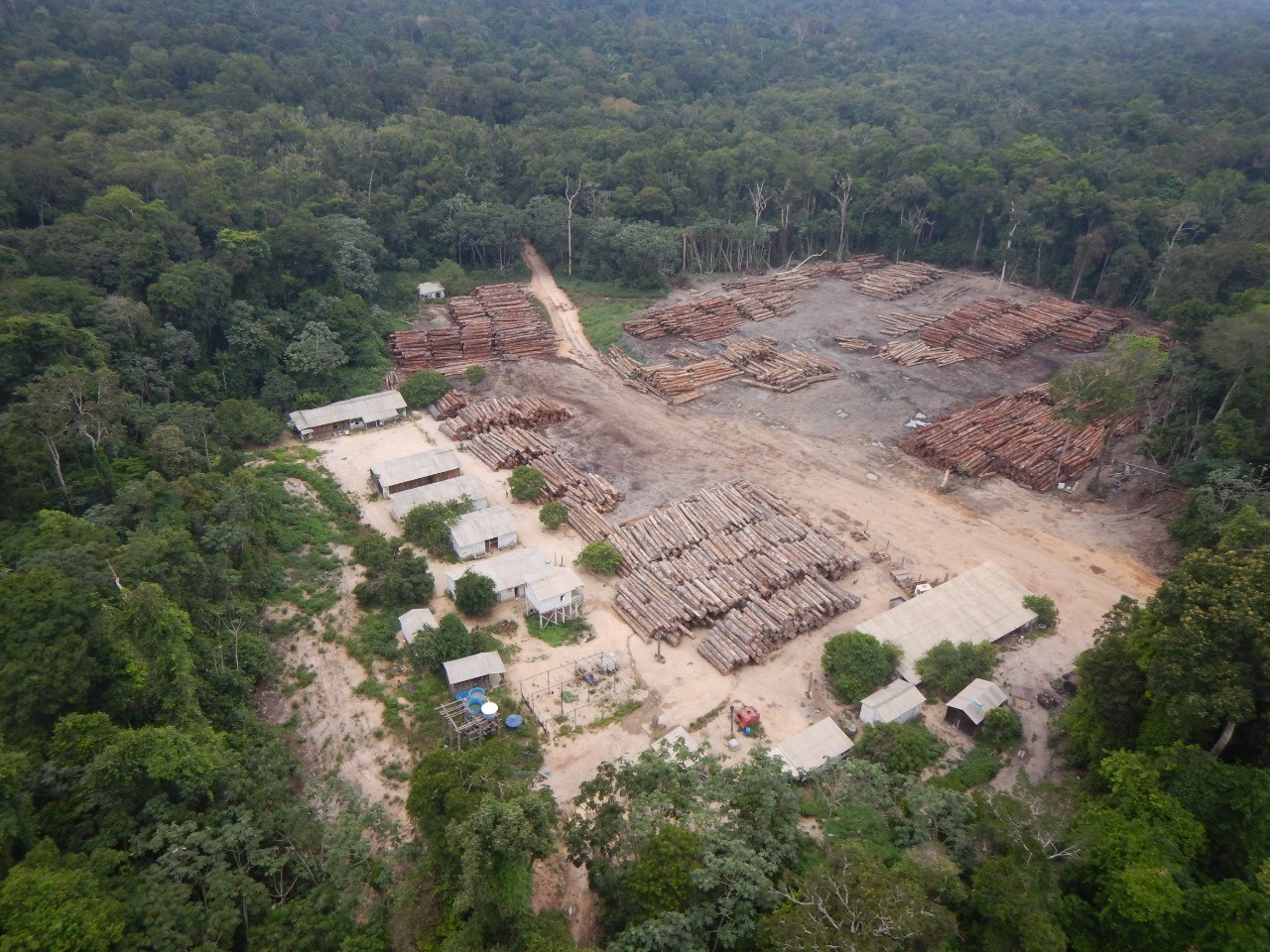 Justiça Federal manda PF devolver madeira apreendida na divisa do Amazonas com o Pará thumbnail