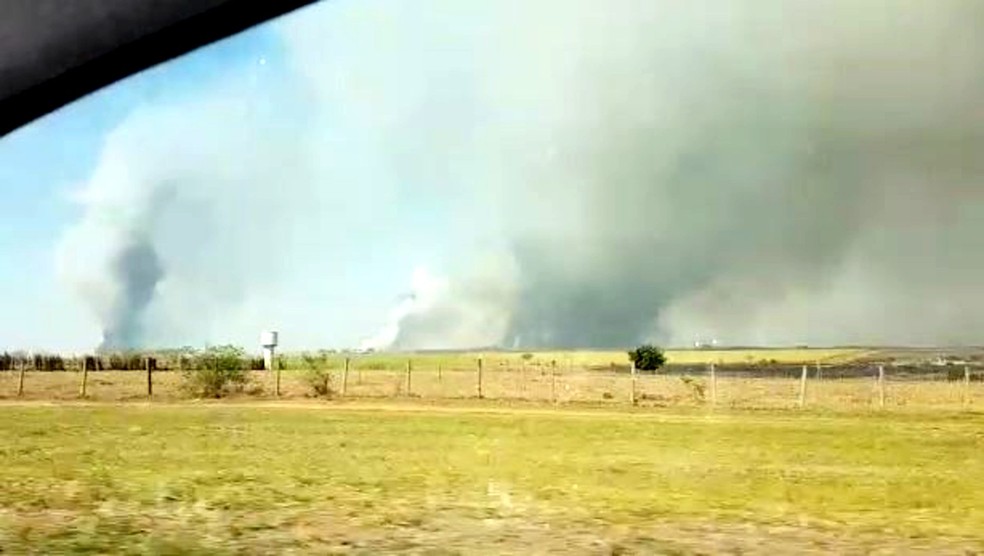 Incêndio de grande proporção atinge área de mata e plantações em Lins — Foto: Arquivo pessoal