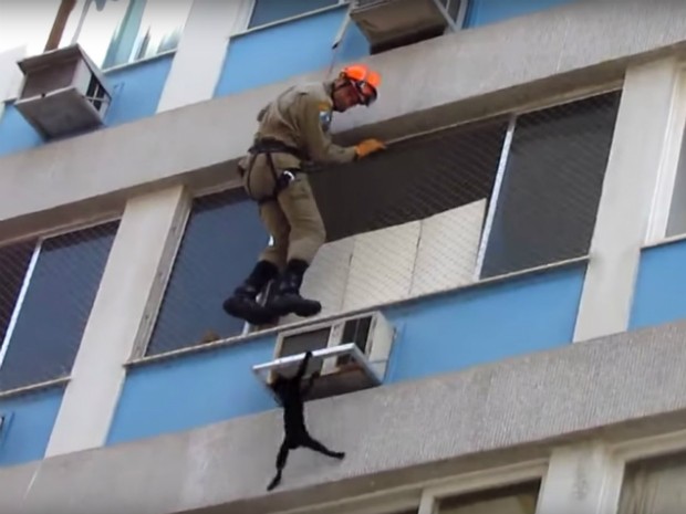 Gato fica pendurado em ar-condiconado durante resgate no Rio (Foto: Reprodução / Internet)