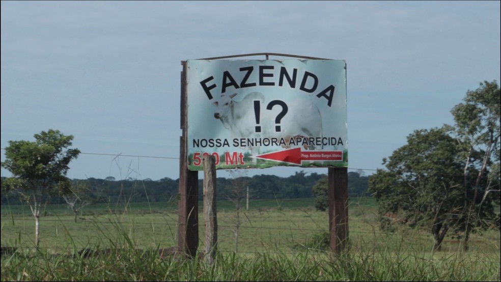 Fazenda Nossa Senhora Aparecida em Chupinguaia, Rondônia  — Foto: Gabryel Biavatti 