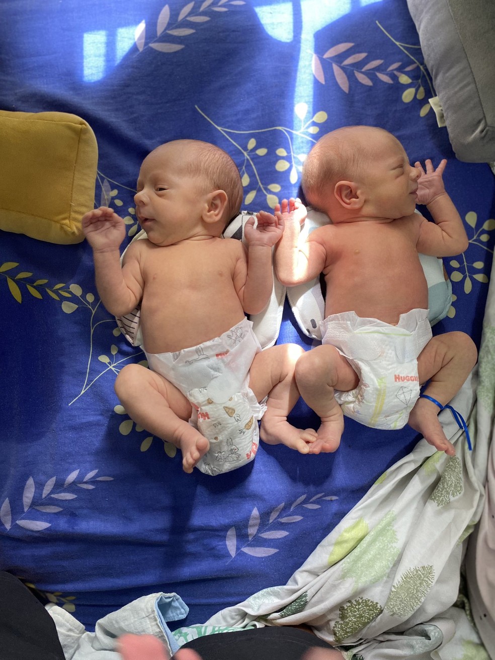 Lorenzo e Valentín são gêmeos iguaizinhos, garante a mãe — Foto: Reprodução/Twitter