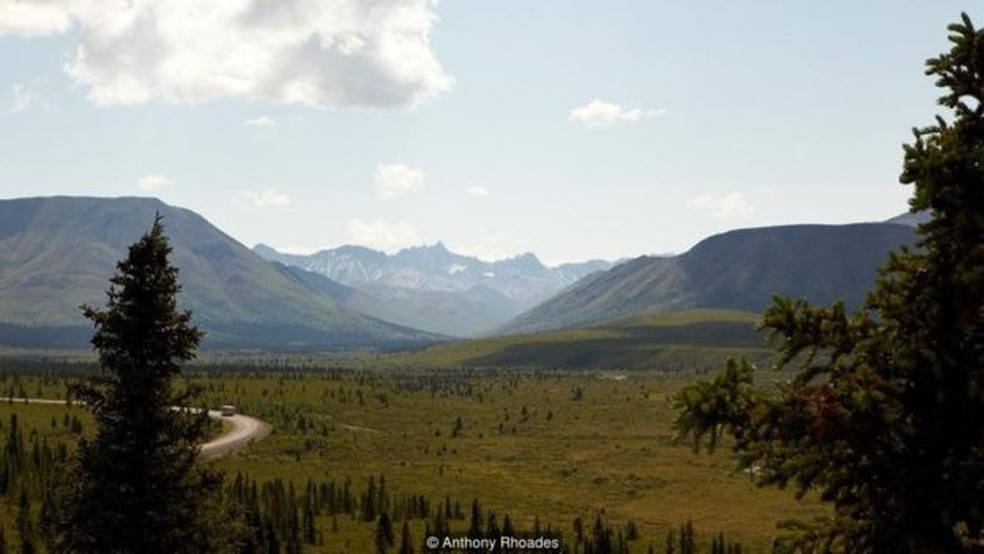 No Parque Nacional Denali, o aumento da temperatura começou a afetar a vida selvagem (Foto: Anthony Rhoades)