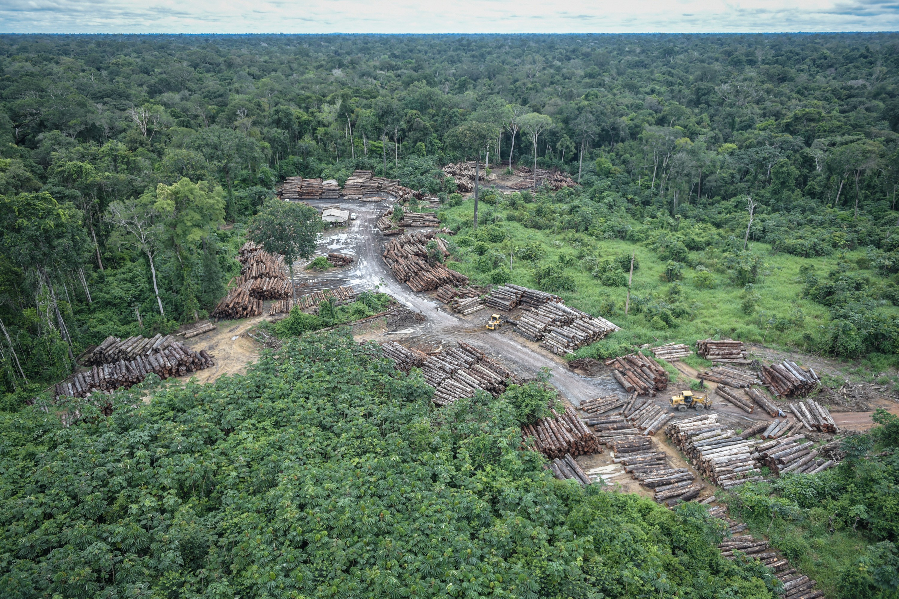 Terras indígenas e áreas de proteção são importantes para garantir estoque de carbono (Foto: Wikimedia Commons)