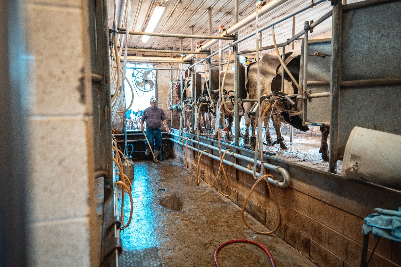 produção leite (Foto: Getty Images)
