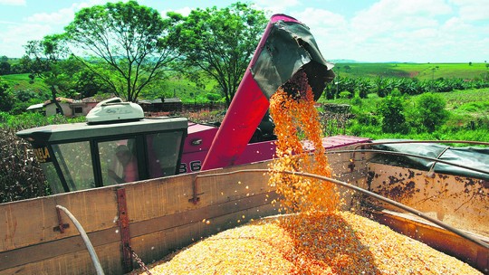 Safra atrasa no Brasil, e China amplia compras de soja dos EUA