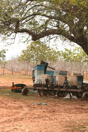 Muitos apicultores do RN estão com a produção prejudicada pela seca (Foto: Rafael Barbosa/G1)