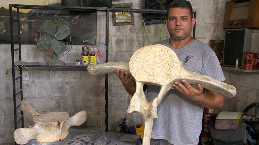 Vértebras de baleia são encontradas em valão de Cobilândia, Vila Velha — Foto: Reprodução/ TV Gazeta
