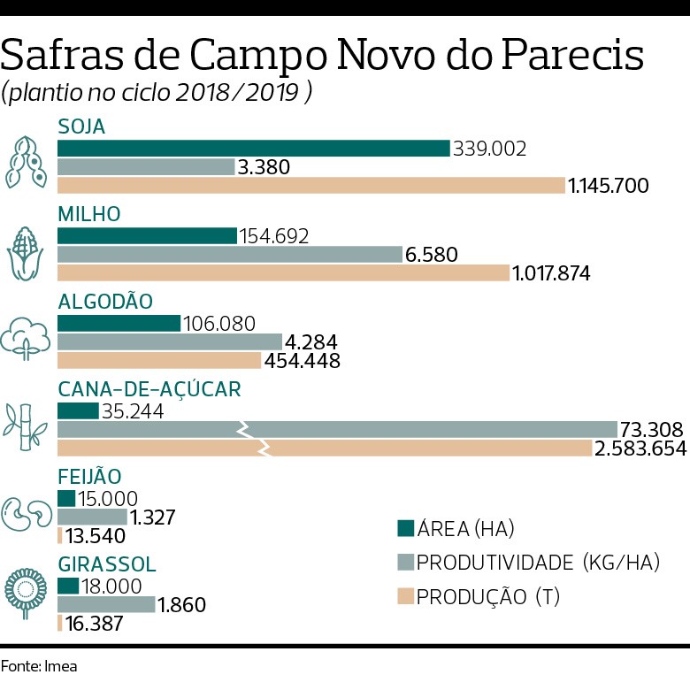 Campo Novo do Parecis (MT), maior produtor brasileiro de milho-pipoca e de girassol, também aposta em cereais, sementes e feijões (Foto: José Medeiros)