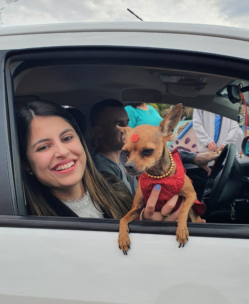 Ana Carolina Zampanaro e Nutella, 1ª colocada no Concurso Mania de Cão — Foto: Bruna Bonfim/g1