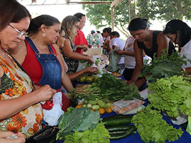 Campus da UFPA no Guamá recebe Feira da Agricultura Familiar (Foto: Proex/Divulgação)