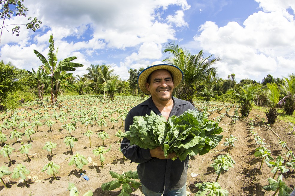 Inscrições seguem até o dia 30 de março para pequenos produtores, proprietários e possuidores de imóveis rurais dos nove estados da Amazônia Legal. — Foto: Vitor Souza/Secom