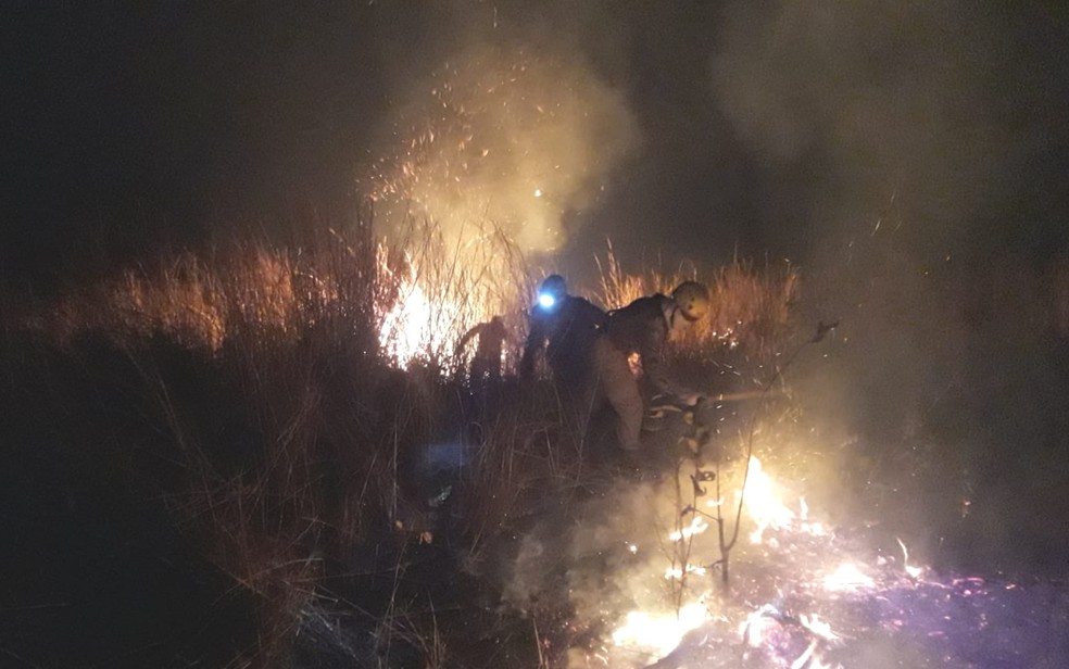 Bombeiros citam 'evolução' no combate a incêndio na Chapada dos Veadeiros, mas calor e tempo seco ainda preocupam— Foto: Divulgação/Corpo de Bombeiros