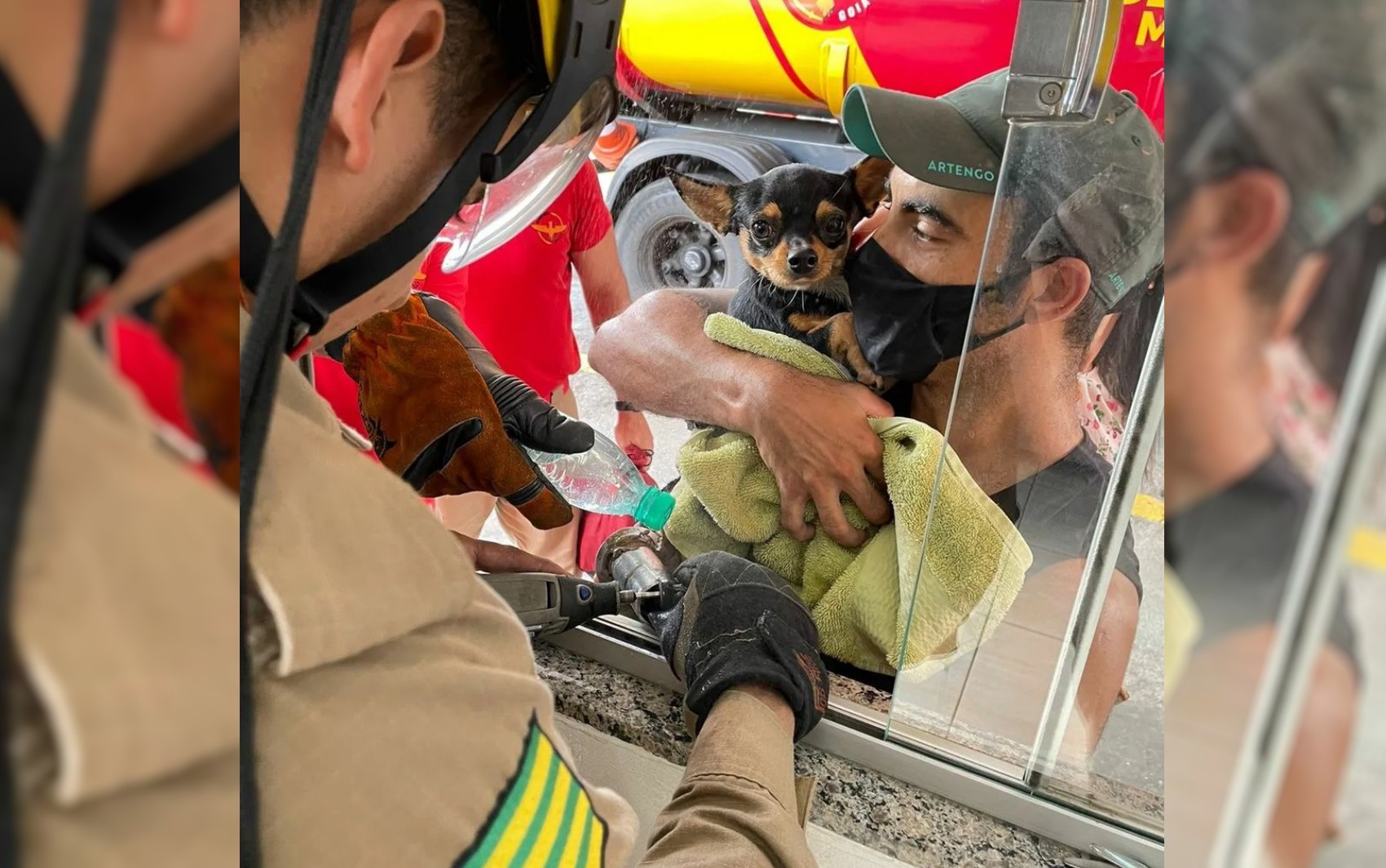 Cachorrinho é resgatado por bombeiros após ficar com pata presa em ralo, em Goiânia; vídeo