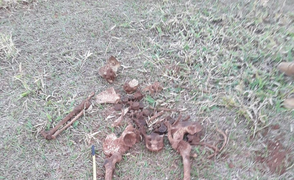 Ossada humana é encontrada em sítio de Sarutaiá — Foto: Divulgação/Policia Civil