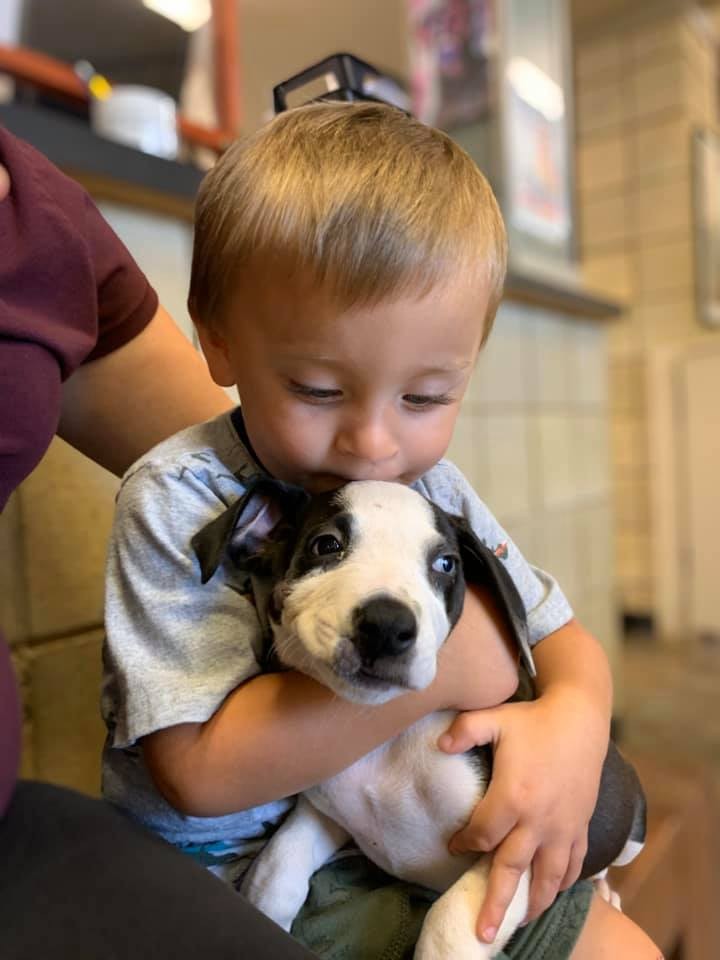 Bentley Boyers e cachorrinha; os dois nasceram com lábio leporino (Foto: Reprodução: Facebook / Jackson County Animal Shelter - Michigan)