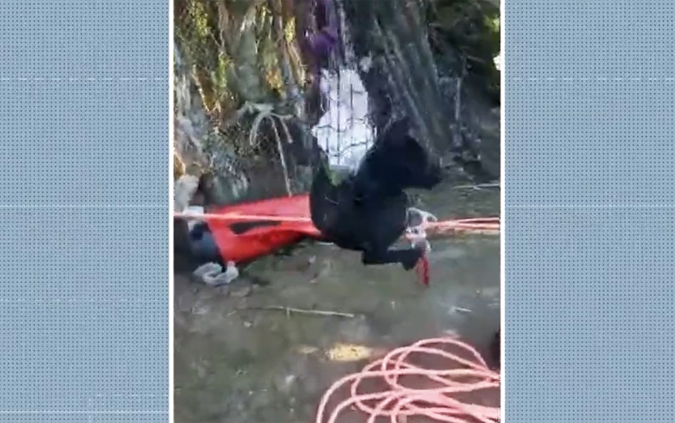 Trabalho de resgate do cachorro demorou cerca de 8h — Foto: Reprodução/TV Bahia
