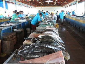 feira do pescado santarém (Foto: Zé Rodrigues/TV Tapajós)