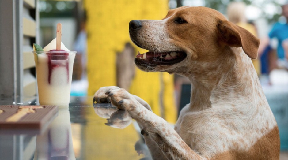 Mutts: restaurante gosta de cachorros bem tratados (Foto: Divulgação)