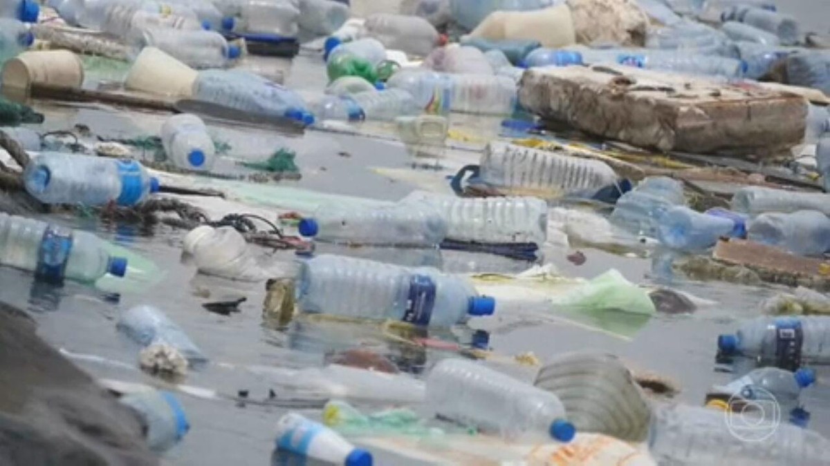 
Estudo revela as cidades brasileiras que mais poluem o oceano com plástico
