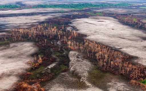 Número de alertas de desmatamento na Amazônia é o segundo maior desde 2016