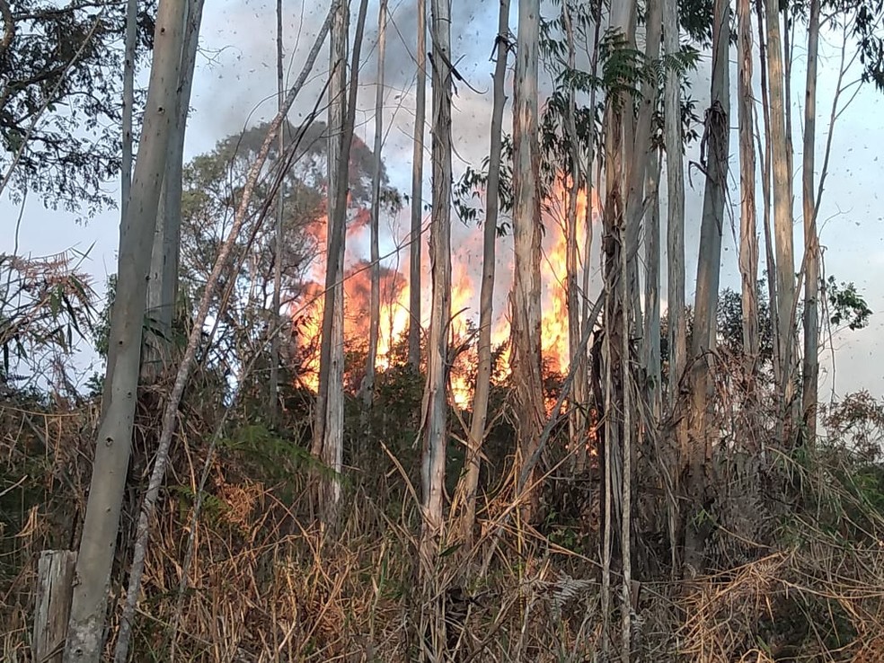 Incêndio mobiliza bombeiros na Serra da Bocaina em SP. — Foto: Cleusa Colaço / Arquivo pessoal