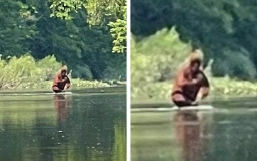 Suposto Pé-grande é flagrado atravessando rio nos EUA com bebê no colo; assista! - Vimarsana News