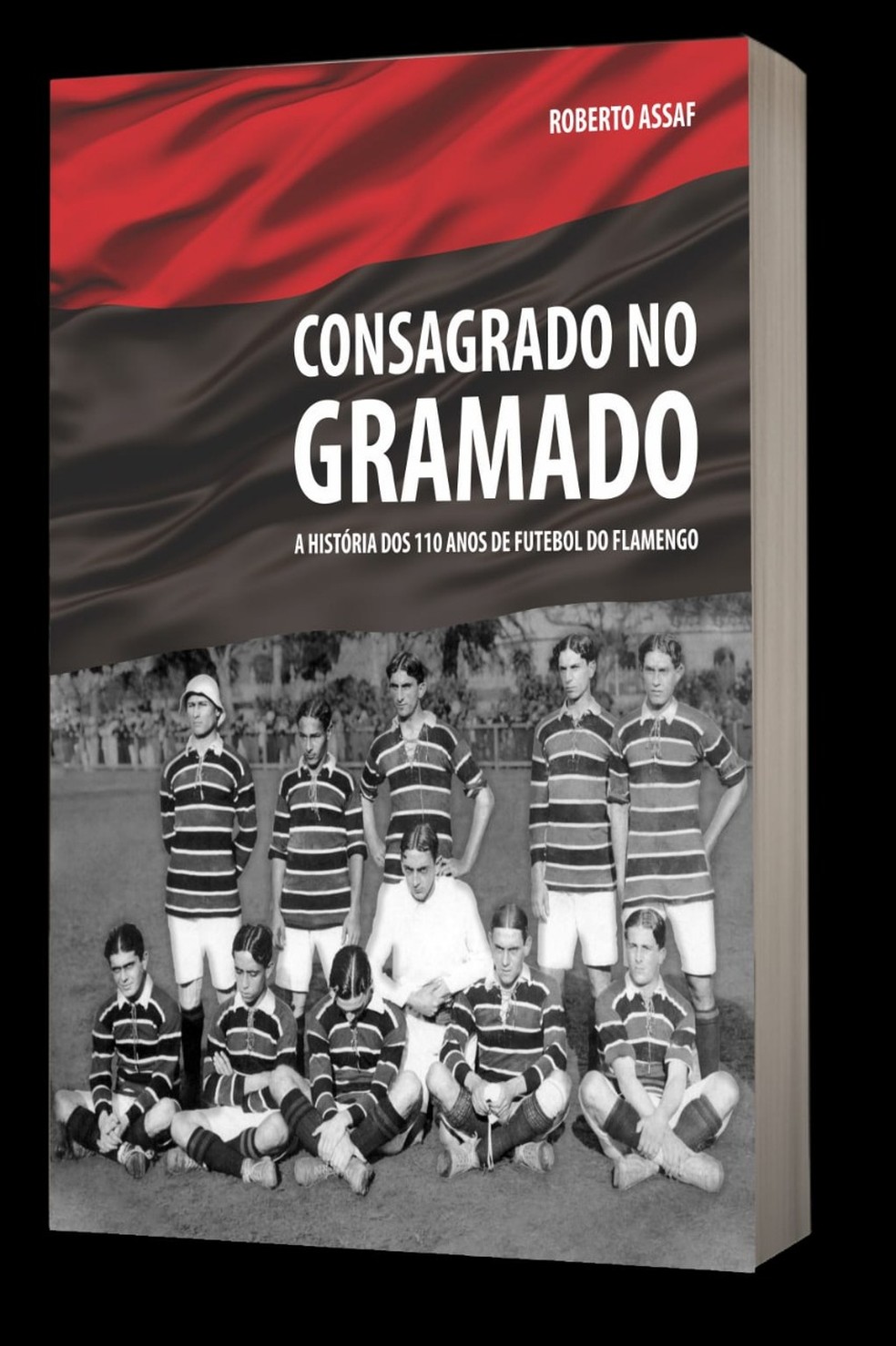 "Consagrado no gramado", sobre os 110 anos do futebol do Flamengo, é obra assinada por Roberto Assaf — Foto: Divulgação