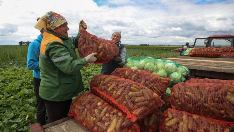 Maior parte das terras usadas para agricultura é propriedade do Estado e emprega quase 10% da população de Belarus — Foto: Getty Images/BBC